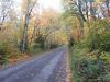 Forest Road 166 in the Tofte area is one of the North Shore's scenic roads. File photo Rhonda Silence